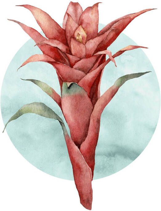 Komar Wanddecoratie Funky Flower Wanddecoratie zonder lijst (1 stuk)