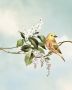 Komar Wanddecoratie Gazouillis des Oiseaux Wanddecoratie zonder lijst (1 stuk) - Thumbnail 1