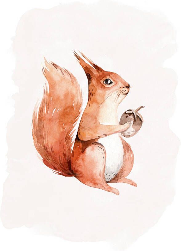 Komar Wanddecoratie Hungry Squirrel Wanddecoratie zonder lijst (1 stuk)