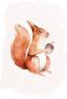 Komar Wanddecoratie Hungry Squirrel Wanddecoratie zonder lijst (1 stuk) - Thumbnail 1