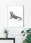 Komar Wanddecoratie Iguana white Wanddecoratie zonder lijst (1 stuk) - Thumbnail 1