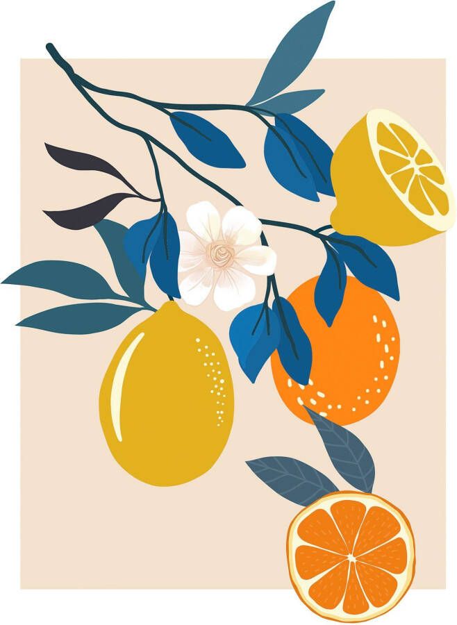 Komar Wanddecoratie Illustration Finest Fruits Wanddecoratie zonder lijst (1 stuk)