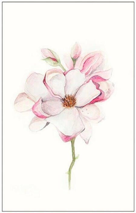 Komar Wanddecoratie Magnolia Blossom Wanddecoratie zonder lijst