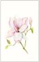 Komar Wanddecoratie Magnolia Shine Wanddecoratie zonder lijst (1 stuk) - Thumbnail 1