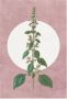 Komar Wanddecoratie Menthe en Croissance Wanddecoratie zonder lijst (1 stuk) - Thumbnail 1