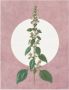 Komar Wanddecoratie Menthe en Croissance Wanddecoratie zonder lijst (1 stuk) - Thumbnail 1