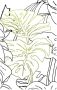Komar Wanddecoratie Monstera Borsigiana Wanddecoratie zonder lijst (1 stuk) - Thumbnail 1