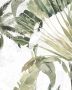 Komar Wanddecoratie Oiseau Cacadoo Wanddecoratie zonder lijst (1 stuk) - Thumbnail 1