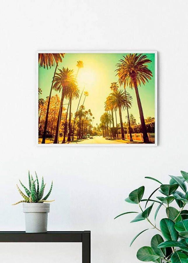 Komar Wanddecoratie Palm Alley Wanddecoratie zonder lijst (1 stuk)