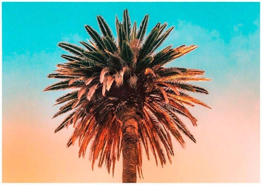 Komar Wanddecoratie Palm tree Wanddecoratie zonder lijst