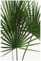 Komar Wanddecoratie Palmtree Leaves Wanddecoratie zonder lijst - Thumbnail 1