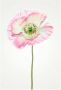 Komar Wanddecoratie Poppy Wanddecoratie zonder lijst (1 stuk) - Thumbnail 1