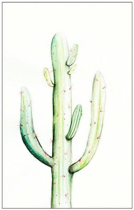 Komar Wanddecoratie Saguaro Watercolor Wanddecoratie zonder lijst (1 stuk)