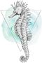 Komar Wanddecoratie Sea Horse Watercolor Wanddecoratie zonder lijst (1 stuk) - Thumbnail 1