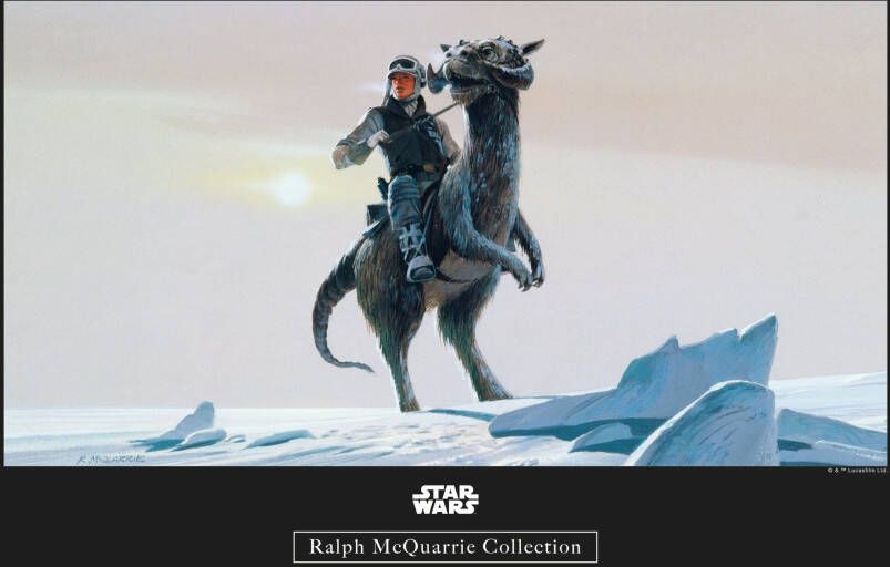 Komar Wanddecoratie Star Wars Classic RMQ Hoth Tauntaun Wanddecoratie voor de kinderkamer zonder lijst (1 stuk)