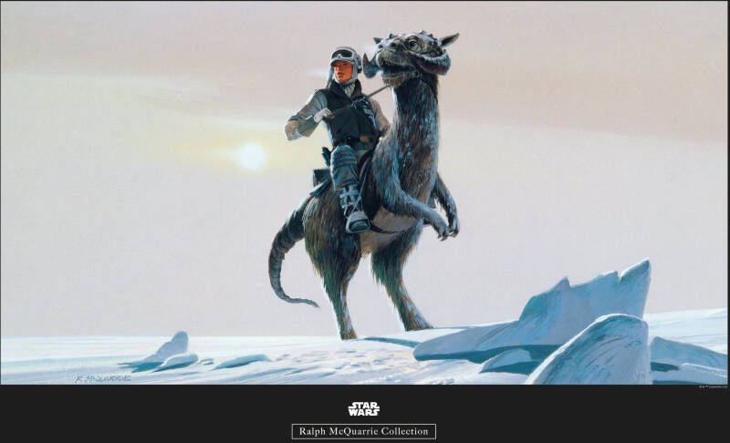 Komar Wanddecoratie Star Wars Classic RMQ Hoth Tauntaun Wanddecoratie voor de kinderkamer zonder lijst (1 stuk)