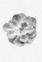 Komar Wanddecoratie Succulent Aeonium Wanddecoratie zonder lijst (1 stuk) - Thumbnail 1