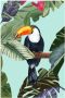 Komar Wanddecoratie Toco Toucan Wanddecoratie zonder lijst (1 stuk) - Thumbnail 1