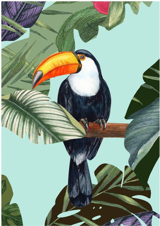 Komar Wanddecoratie Toco Toucan Wanddecoratie zonder lijst (1 stuk)