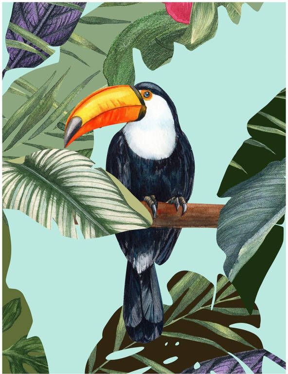 Komar Wanddecoratie Toco Toucan Wanddecoratie zonder lijst (1 stuk)