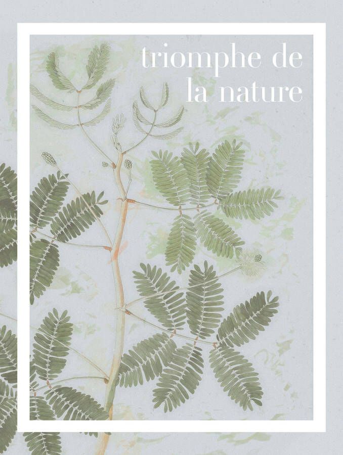 Komar Wanddecoratie Triomphe de la nature Wanddecoratie zonder lijst (1 stuk)