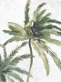 Komar Wanddecoratie Tropical Toucan Wanddecoratie zonder lijst (1 stuk) - Thumbnail 1