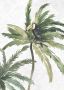 Komar Wanddecoratie Tropical Toucan Wanddecoratie zonder lijst (1 stuk) - Thumbnail 1