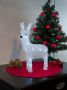 KONSTSMIDE Kerstfiguur Kerst versiering Led acryl rendier 24 koudwitte dioden (1 stuk) - Thumbnail 1
