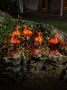 KONSTSMIDE Kerstfiguur Led acryl flamingo's set van 5 40 amberkleurige dioden (1 stuk) - Thumbnail 1