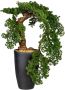 Leonique Kunstbonsai Carolyne Kunstplant in magnesiapot (1 stuk) - Thumbnail 1