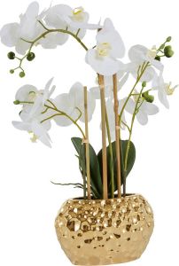 Leonique Kunstplant Orchidee Kunstorchidee in een pot (1 stuk)