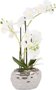 Leonique Kunstplant Orchidee Kunstorchidee in een pot (1 stuk)