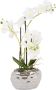 Leonique Kunstplant Orchidee Kunstorchidee in een pot (1 stuk) - Thumbnail 1