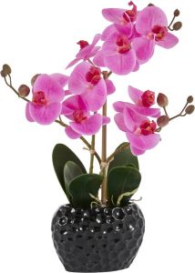 Leonique Kunstplant Orchidee Kunstorchidee in een pot (1 stuk)