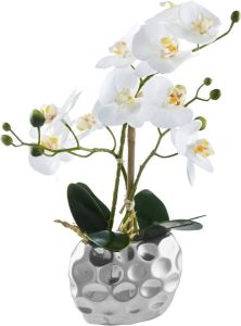 Leonique Kunstplant Orchidee Kunstorchidee in een pot (1 stuk)