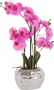 Leonique Kunstplant Orchidee Kunstorchidee in pot bestseller meer dan 2500 4 5-sterren beoordelingen (1 stuk) - Thumbnail 1