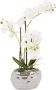 Leonique Kunstplant Orchidee Kunstorchidee in pot bestseller meer dan 2500 4 5-sterren beoordelingen (1 stuk) - Thumbnail 1