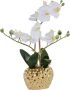 Leonique Kunstplant Orchidee Kunstorchidee in pot bestseller meer dan 2500 4 5-sterren beoordelingen (1 stuk) - Thumbnail 1