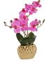 Leonique Kunstplant Orchidee Kunstorchidee in pot bestseller meer dan 2500 4 5-sterren beoordelingen (1 stuk) - Thumbnail 1