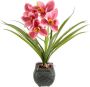 My home Kunstbloem Orchidee Met bladeren in pot van cement kunstbloem Cymbidium-orchidee (1 stuk) - Thumbnail 1