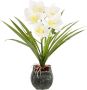 My home Kunstbloem Orchidee Met bladeren in pot van cement kunstbloem Cymbidium-orchidee (1 stuk) - Thumbnail 1