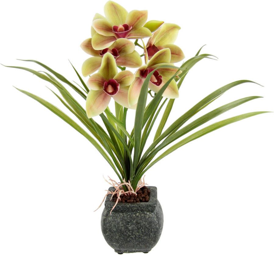 My home Kunstbloem Orchidee Met bladeren in pot van cement kunstbloem Cymbidium-orchidee (1 stuk)