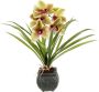 My home Kunstbloem Orchidee Met bladeren in pot van cement kunstbloem Cymbidium-orchidee (1 stuk) - Thumbnail 1