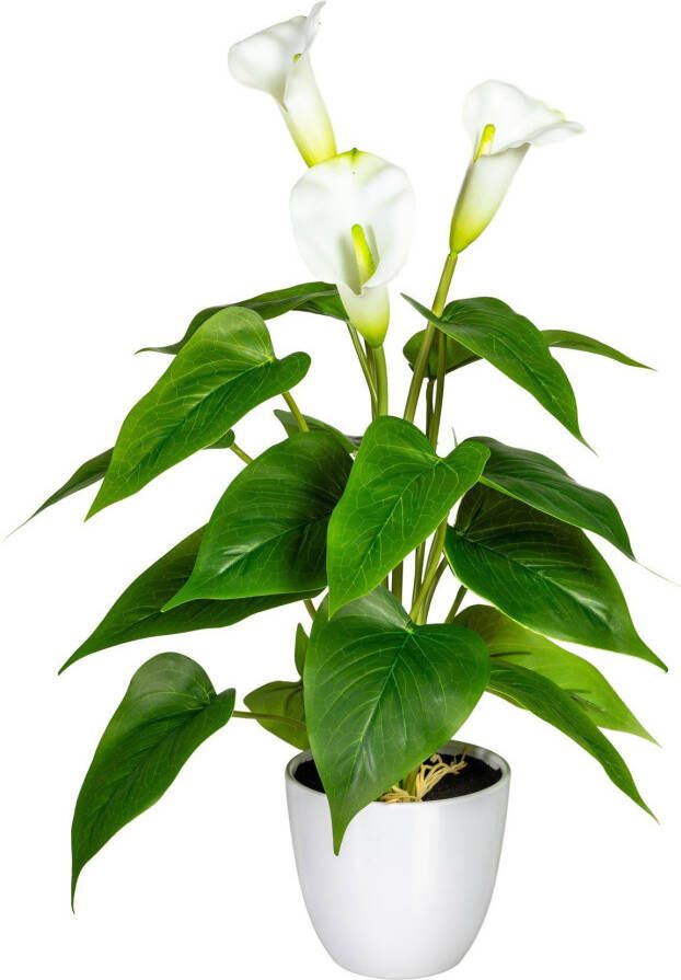 My home Kunstplant Lesum in de pot (1 stuk)