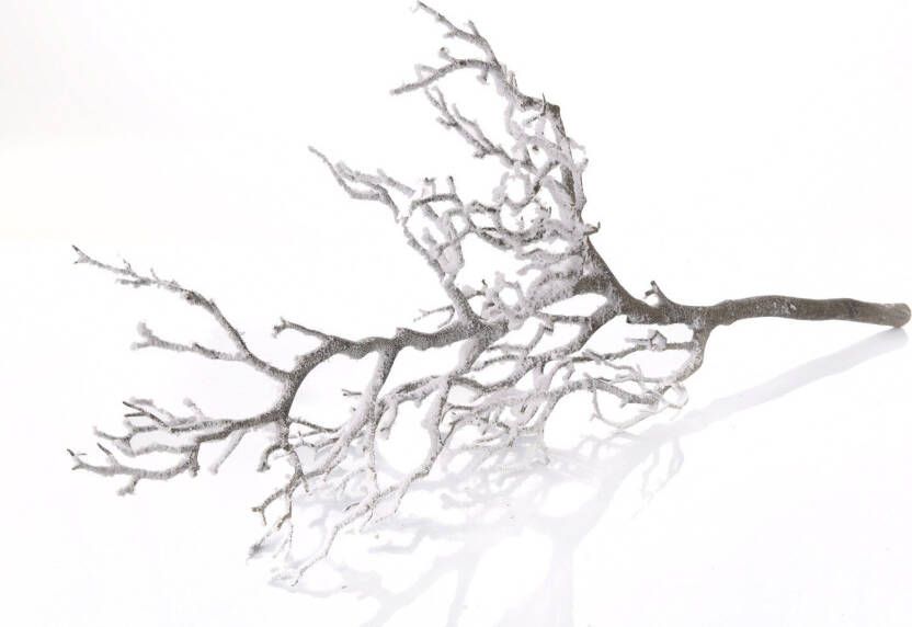 My home Winterse kunstplant Kerst versiering Deco-tak in frozen uitvoering