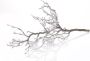 My home Winterse kunstplant Kerst versiering Deco-tak in frozen uitvoering - Thumbnail 1
