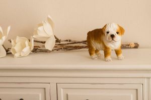 Myflair Möbel & Accessoires Decoratief figuur Mop Hond bruin staand woonkamer
