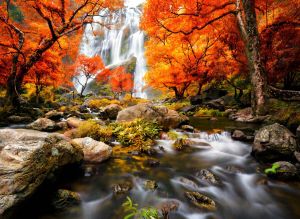 Papermoon Fotobehang Autumn Waterfall