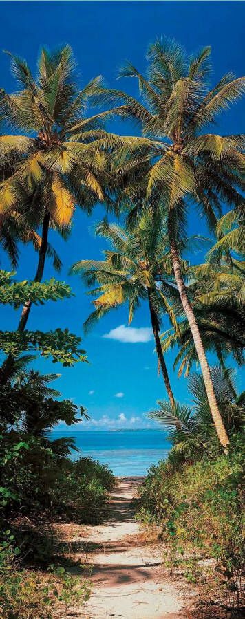 Papermoon Fotobehang Beach Path deurbehang Vlies 2 banen 90x 200 cm (2-delig)