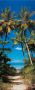 Papermoon Fotobehang Beach Path deurbehang Vlies 2 banen 90x 200 cm (2-delig) - Thumbnail 1